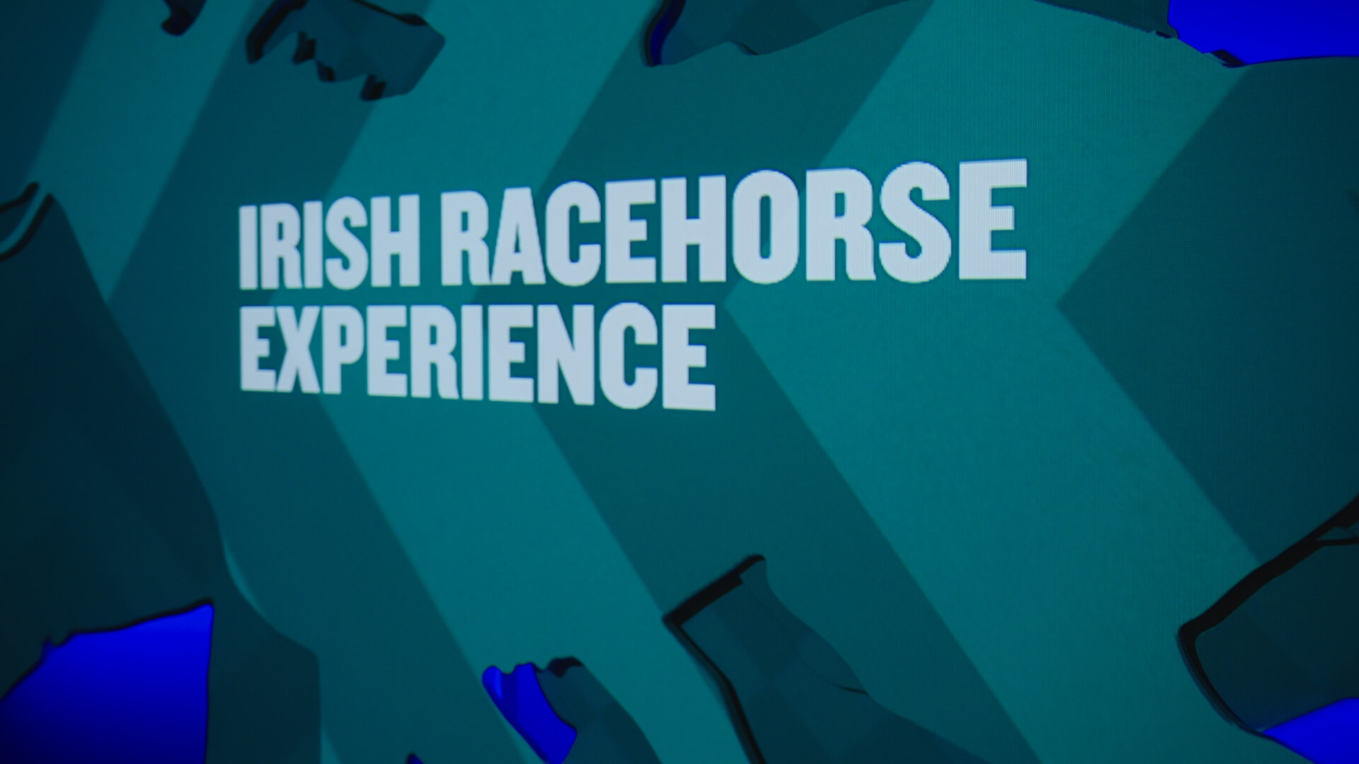 Collider Studios - Irish Horse Experience - porftolio